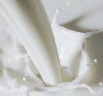 Гомельщина лидирует по объемам продаж молока «экстра»