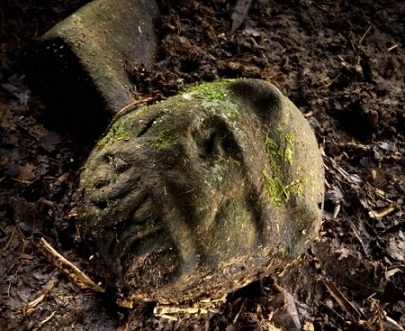 В джунглях найдена неизвестная цивилизация времен Майя