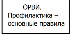 ОРВИ.  Профилактика – основные правила