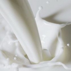 Гомельщина лидирует по объемам продаж молока «экстра»