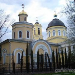 В Гомель прибудет ковчег