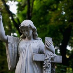 Гомельчан приглашают принять участие в уборке кладбищ