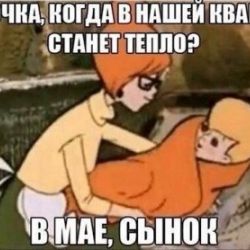 Что делать, когда в квартире пахнет Севером