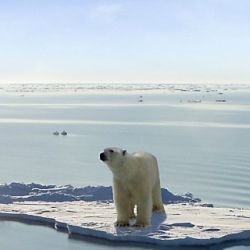 Освоение Арктики грозит всемирным потопом