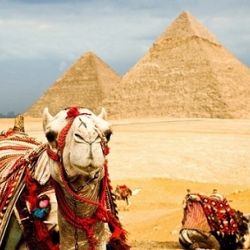 Египет с 15 мая изменит правила получения виз