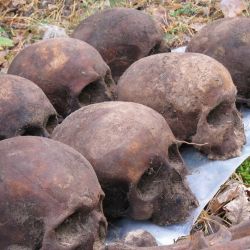 Недалеко от Светлогорска обнаружено массовое захоронение людей
