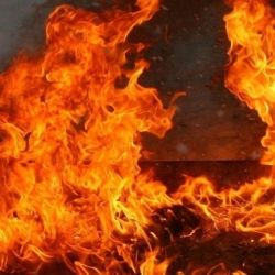 В Рогачевском районе на пожаре погиб ребенок 