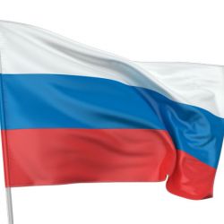 Россияне могут проголосовать и в Гомеле