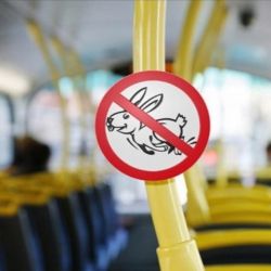  «Заяц» брызнул перцовым баллончиком в лицо контролера