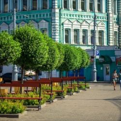 Областная прокуратура заинтересовалась озеленением Гомеля