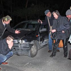 Дикий кабан протаранил авто с известными музыкантами