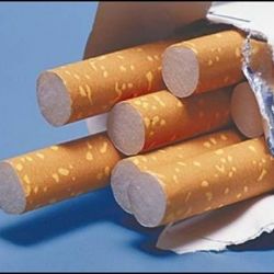 34 000 пачек сигарет сотрудники ГАИ обнаружили в Фольксвагене
