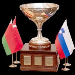 Сказ о том, как Полесье кубка лишилось