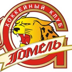 Гомельчане вымучили победу над «Химик-СКА»