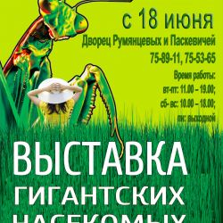 «Гигантские насекомые»: выставка в Гомеле