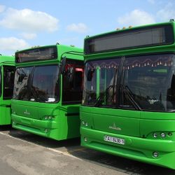 Новые автобусные маршруты появились в Гомеле