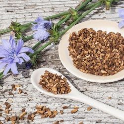 Утро начинается не с кофе. Полезные свойства цикория