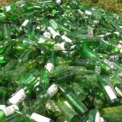 Люди без адреса воруют стекло на гомельских мусорках