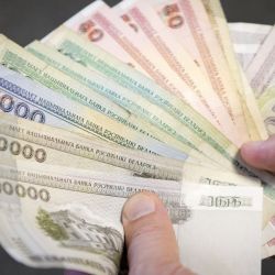 Папоротники, памятники и минус четыре нуля: В середине 2016 года будем считать новые деньги 