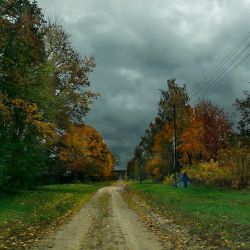 Профессиональные фотографы и фотолюбители делятся мобильными фотографиями