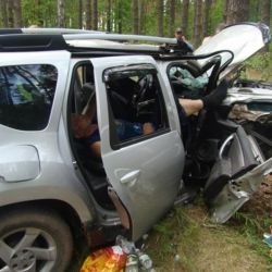 В двух километрах от Терюхи «вылетевшее» с дороги «Рено» остановило только дерево  