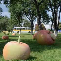 Советсткий район Гомеля признан самым благоустроенным