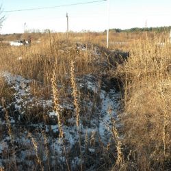 Следственный комитет прекратил уголовное преследование в отношении бывшего председателя Ветковского райисполкома