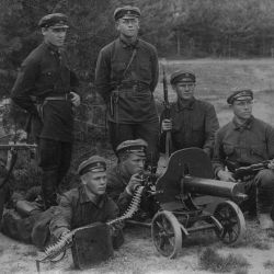Останки красноармейцев нашли в Рогачевском районе