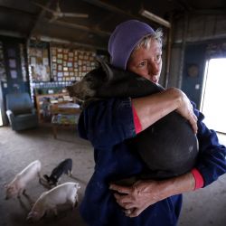 Аграрии работают без спецодежды и аптечек