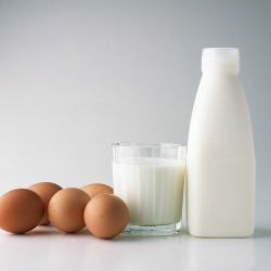 Россельхознадзор вернул в Беларусь 25 тонн молочной продукции, в том числе и гомельского производства
