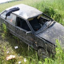 В Добрушском районе водитель погиб на полевой дороге