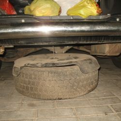 За спрятанное от таможенного контроля мясо два водителя могут лишиться своих автомобилей