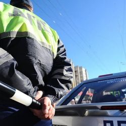 ГАИ Гомельщины разработала для детей игру-ходилку по безопасности дорожного движения