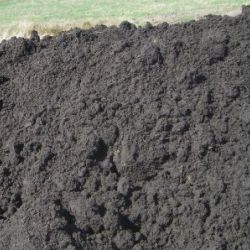 В Гомеле земельные участки продаются не хуже, чем в столице