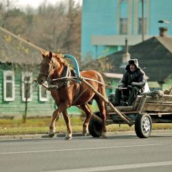 Ноу-хау: Гомельская ГАИ раздает владельцам гужевых повозок иностранные регистрационные знаки