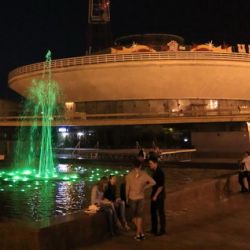 Воры выдернули тую у остановки «Цирк»