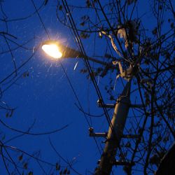 Отказ от уличных фонарей как способ экономии