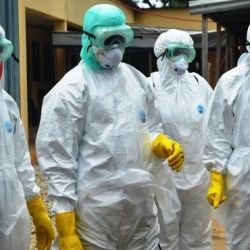 Жертвами Бубонной чумы на Мадагаскаре стали 47 человек