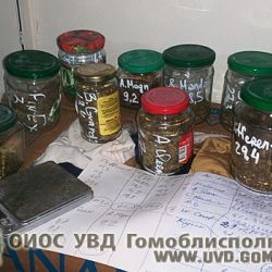 В Гомеле милиция конфисковала несколько партий марихуаны 