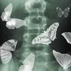 Откуда появляются «бабочки в животе»?