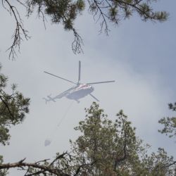 Полесье просит дождя. За сутки в стране сгорели 100 га леса 