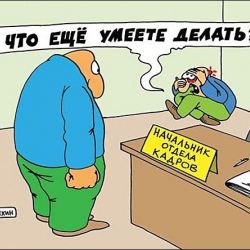 Красная цена молодых специалистов