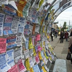 Гомельчан штрафуют за «бахрому» на остановках