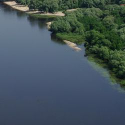 В Буда-Кошелевском районе женщина погибла, на спор переплывая озеро