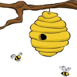 Почему пчела умирает, когда жалит, а оса — нет?
