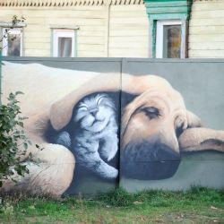 ``В месяц они ``съедают`` 15 миллионов``: история самого большого в Беларуси приюта для бездомных животных