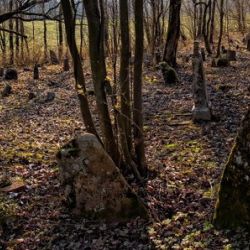 Что скрывают старинные кладбища Гомеля?