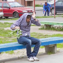 Клещи и тарантулы атаковали Гомель