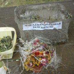 Гомельская травница изобрела чай от компьютерной зависимости