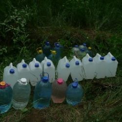 Подозрительные канистры нашли в лесу в Добрушском районе